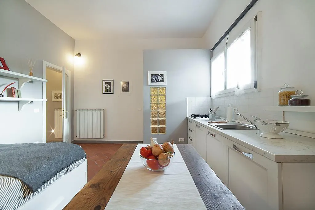 Central Pitti Studio Flat Florencia